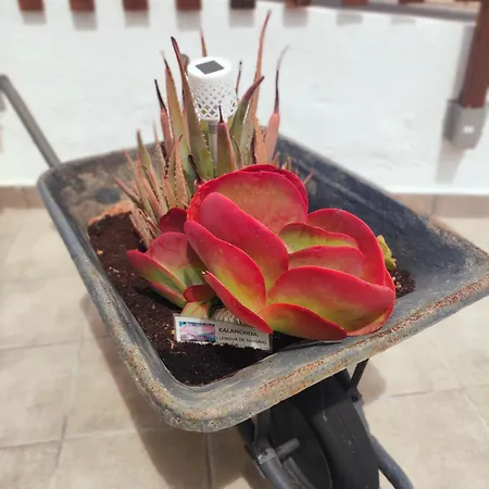 Διαμέρισμα Casa El Escano En La Naturaleza & Jacuzzi