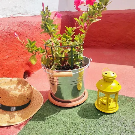 Διαμέρισμα Casa El Escano En La Naturaleza & Jacuzzi