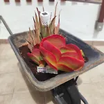 شقة Casa El Escano En La Naturaleza & Jacuzzi *